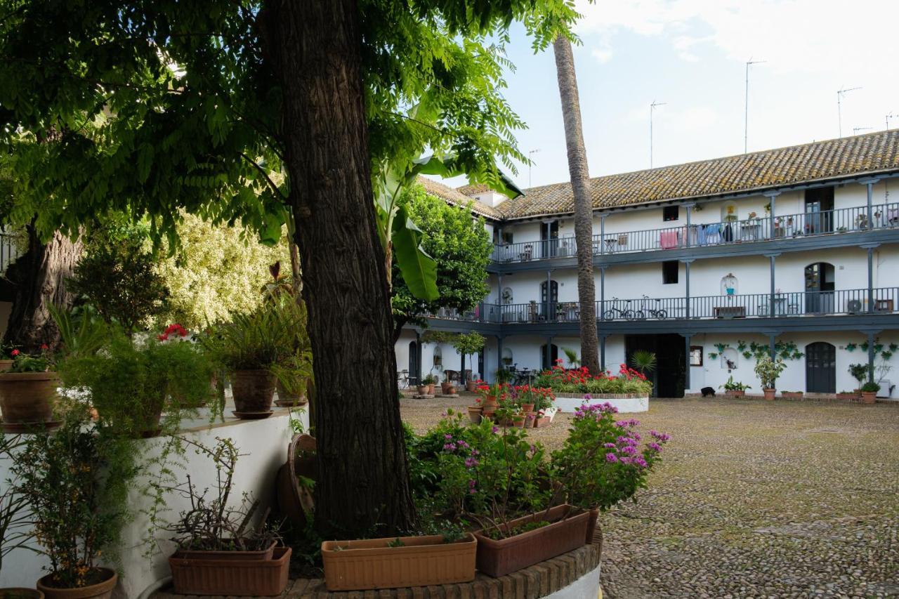 Apartamento Vista Corral del Conde Sevilla Exterior foto